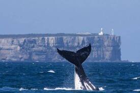 Woollamia House | Rivendell BnB, Jervis Bay
