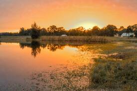 Lovedale Cabin | Kookaburra 2 night minimum stay