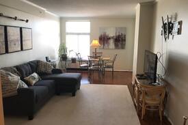 Towson Apartment | The Penthouse at Towson