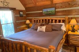 Boone Cabin | Colina Cabin gas fire pit, private & mins to Boone