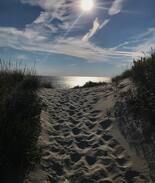 Cape May Point House | Laughing Pines is a luxury, large family rental