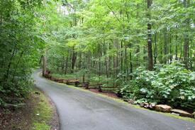 Hayesville Cabin | Blackwell Branch Cabin on rushing Tusquittee Creek