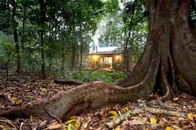 Mowbullan Cabin | Whitewood Cottage-Local Village on Bunya Mountains