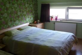 Boom House | Boom, woning op 5 min. wandelen van Tomorrowland