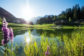 Sedrun Apartment | Maisonette Chalet - Sedrun