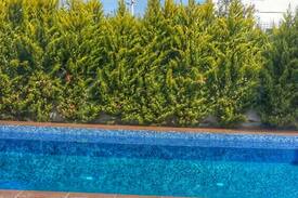 Cesme Villa | VİLLA CASA MİA !