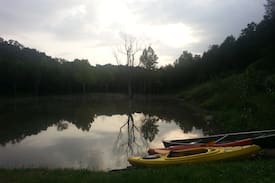 Cynthiana Cabin | Cedar Chapel Cabin is remote and private w/a lake.