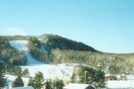 Huntsville House | Beautiful Hidden Valley Condo