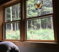 West Jefferson House | Buffalo Bungalow