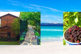 Torbay Villa | WREN COTTAGE Beaumaris Escape