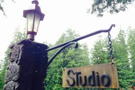 Freestone House | Hidden Cabin of Famous Cartoonist