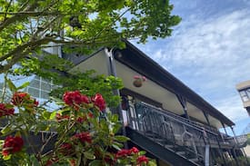 SeaTac Apartment | Seatac/Travelers Crash pad Room 1