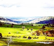 Narrawa Other | 'Moorabinda Huts' a tranquil escape