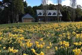 North Blackwood House | The Stonehouse