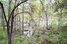 Hammett's Crossing Cabin | Cypress Creek Retreat Hamilton Pool