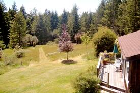 Albion Cabin | Quiet Meadow Cottage by Mendocino, ocean, redwoods