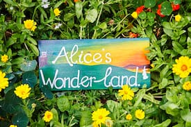 Lamlash House | Alice's Wonderland Vegetarian BnB