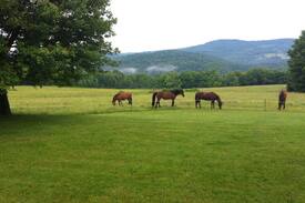 Starlight House | Secluded 160 Acre mountain top home