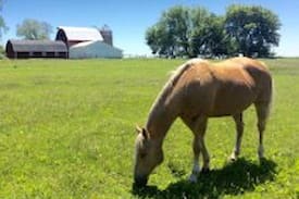 Decorah Other | Silo on the Ridge