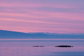 Cordova Bay House | Cordova Bay Beach Suite, Oceanfront