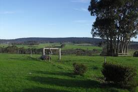 Tingledale Bed & Breakfast | Valley of the Giants B and B