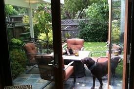 San Rafael House | Huge, sunny bedroom & sitting rm. in Eichler home.