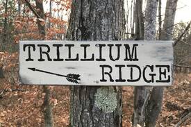 Thompsonville Cabin | Trillium Ridge Cabin