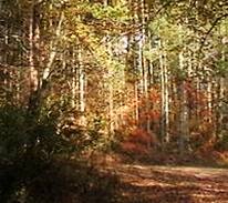Sextons Creek Other | Possum Trot Christian Camp