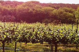 Skull Valley House | Painted Lady Vineyard