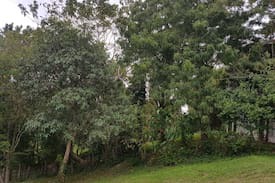Silang House | Ayala westgrove heights