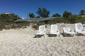 Englewood House | Blue Dolphin on the beach! Sharks teeth, Shells!