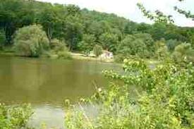 Woodridge Cabin | CHARMING ONE ROOM "GAZEBO" COTTAGE