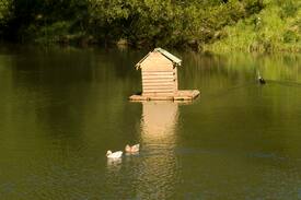 Wattamolla Cabin | Lastover Cottage - Kangaroo Valley