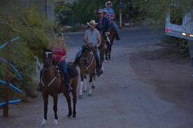 Apache Junction House | Superstition Shadow Ranch Casita Rental