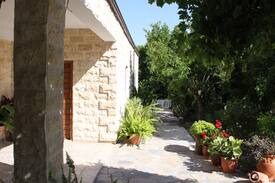 Goudi Other | Orange Grove Stone House Goudi Polis Chrysochous