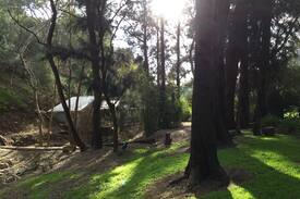 Skye House | Foothills Retreat - Keeping Safe!
