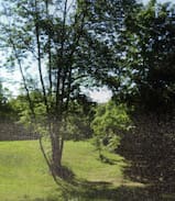 Suttons Bay House | Leelanau Little House: A Suttons Bay Hideaway