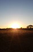 Rose Hill Other | The Hideaway