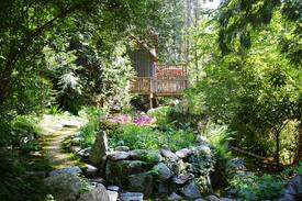 Tuwanek Cabin | Cabin #2 - The Lily Pad