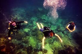 Sibu Island Bed & Breakfast | Rimba Resort, Pulau Sibu