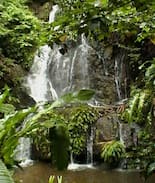 Parlatuvier Cabin | Wings, A Rain Forest Experience