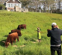 Menemsha House | Evelyn's House, Martha's Vineyard Classic
