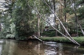 Irons Cabin | Cozy Riverfront Cabin- A Nature Lover's Paradise!