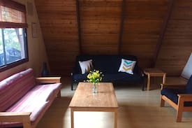 Seymour Arm Cabin | Sunny Waters Lakeview Cabin #3 Shuswap