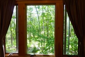 Woodstock Cabin | Romantic Zen Cabin in the woods!
