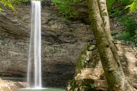 Ozone Other | Rough Cut Hut is a nature lovers paradise!