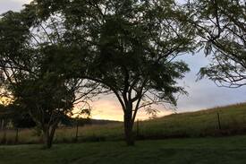 Macksville House | Ponytail Farmhouse - perfect place to unwind