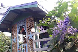 Maha Rat House | บ้านลิเก อาหารป่าและโฮมสเตย์