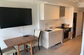 Downtown Toronto Apartment | Studio Condo 251 Jarvis St, Toronto
