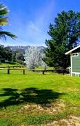 Temecula Cabin | Olive Tree Cottage.